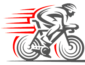 Bici Servis Logo